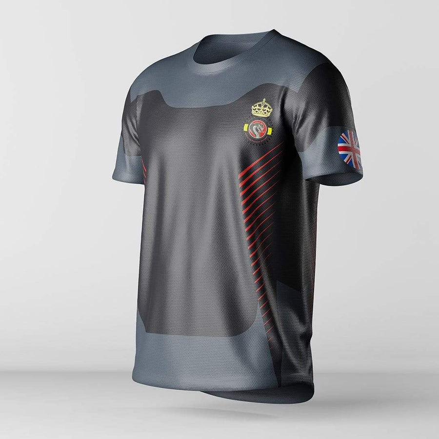 Ninjersey TEAM VIPERS OFFICIAL JERSEY Custom esports jersey