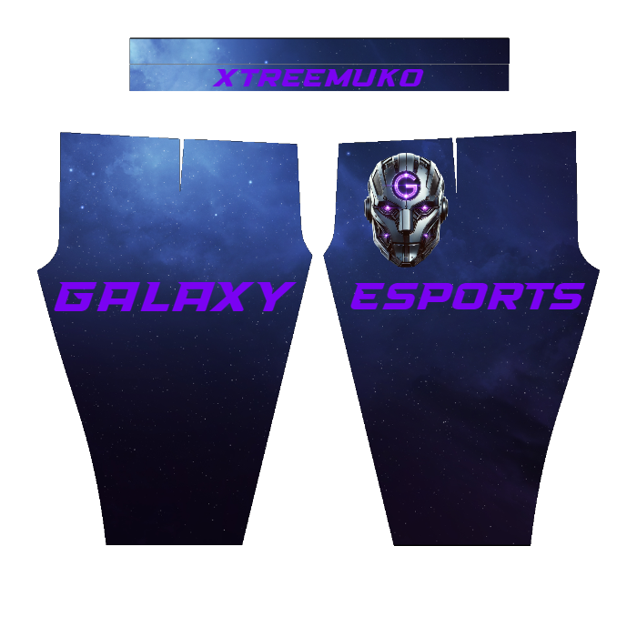 CUSTOM GAMING JOGGERS  &