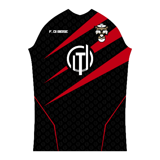 CUSTOM PRO JERSEY "BLANK TEMPLATE"
