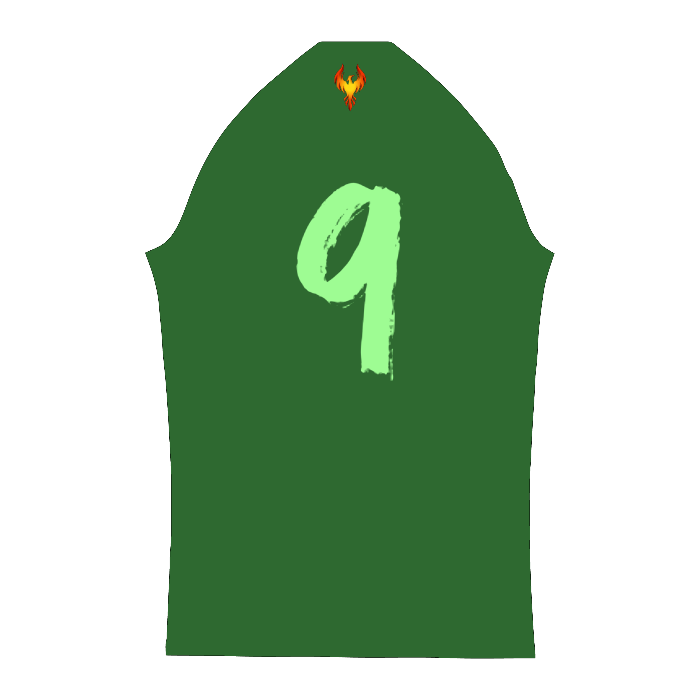 CUSTOM PRO JERSEY "BLANK TEMPLATE"