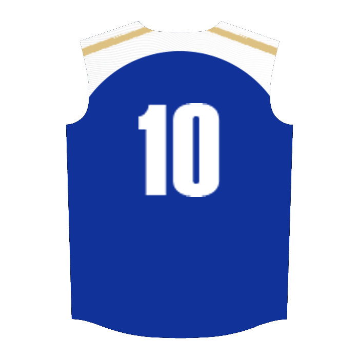 CUSTOM JERSEY "BLANK TEMPLATE"