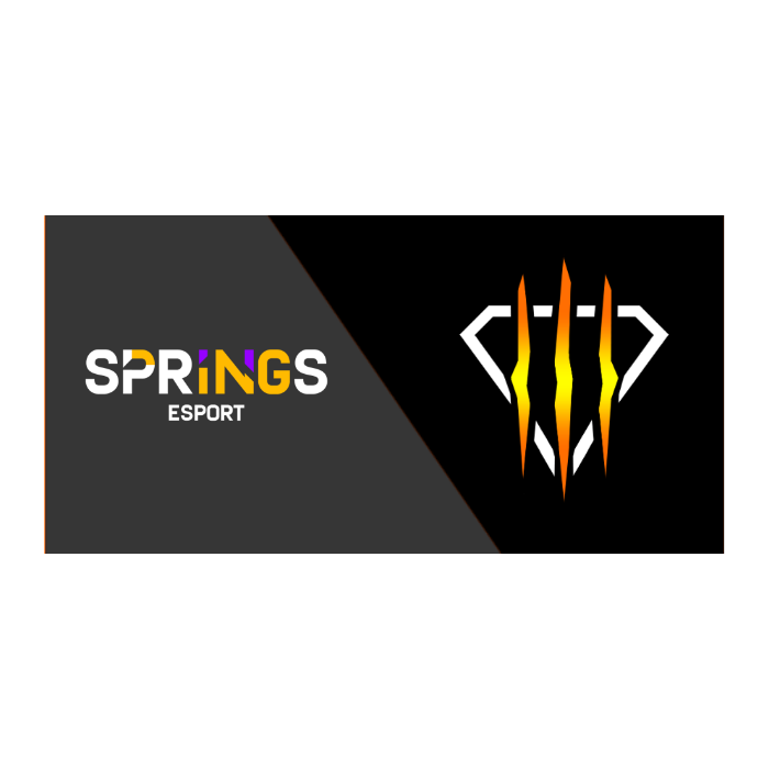 CUSTOM TEAM FLAG "BASE SPACE"