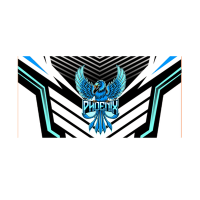 Ninjersey CUSTOM TEAM FLAG "AVENTADOR" Custom esports jersey