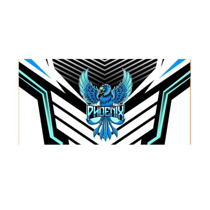 Ninjersey CUSTOM TEAM FLAG "AVENTADOR" Custom esports jersey