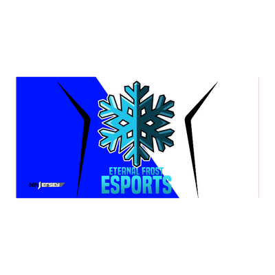 Ninjersey CUSTOM TEAM FLAG Custom esports jersey