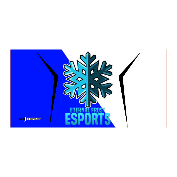 Ninjersey CUSTOM TEAM FLAG Custom esports jersey