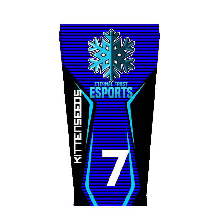 Ninjersey CUSTOM ARM SLEEVE "BASE SPACE" Custom esports jersey