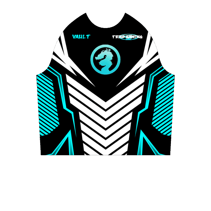 Ninjersey CUSTOM HOODIE "AVENTADOR" Custom esports jersey