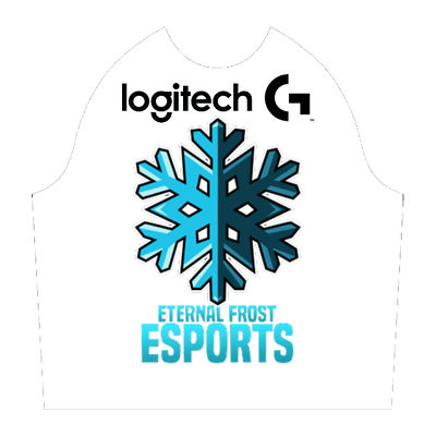 Ninjersey CUSTOM HOODIE "BLANK TEMPLATE" Custom esports jersey