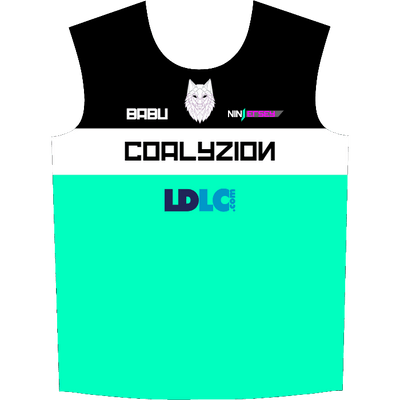 Ninjersey CUSTOM JERSEY "VARIANT" Custom esports jersey