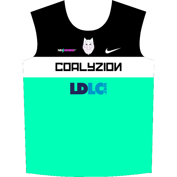 Ninjersey CUSTOM JERSEY "VARIANT" Custom esports jersey