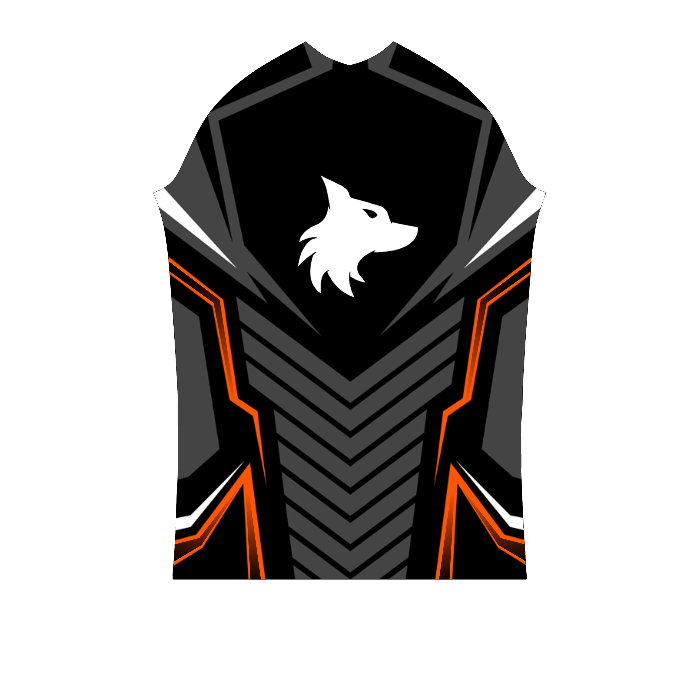 Ninjersey CUSTOM PRO JERSEY "AVENTADOR" Custom esports jersey