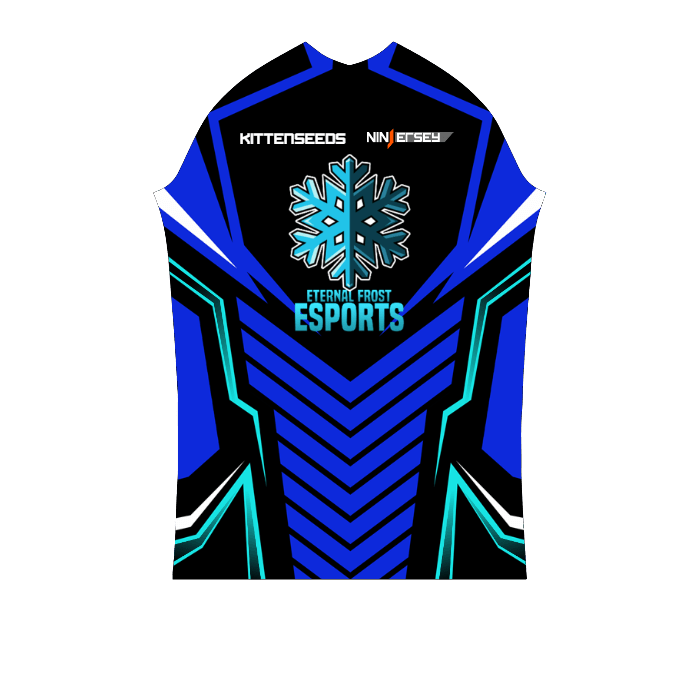 Ninjersey CUSTOM PRO JERSEY "AVENTADOR" Custom esports jersey