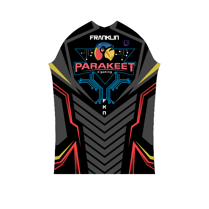 Ninjersey CUSTOM PRO JERSEY "AVENTADOR" Custom esports jersey