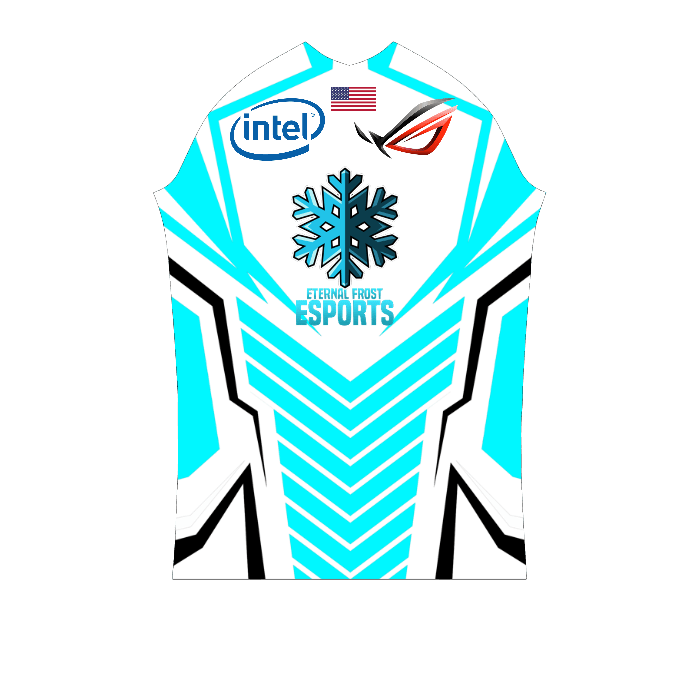 Ninjersey CUSTOM PRO JERSEY "AVENTADOR" Custom esports jersey