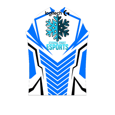 Ninjersey CUSTOM PRO JERSEY "AVENTADOR" Custom esports jersey