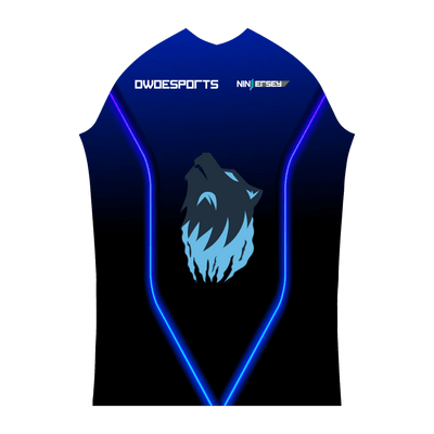 Ninjersey CUSTOM PRO JERSEY "PS5" Custom esports jersey