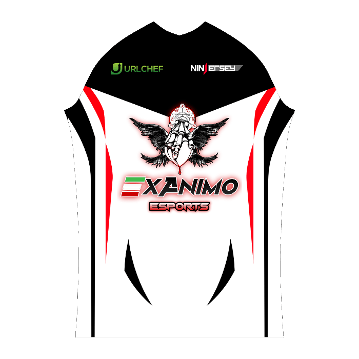 Ninjersey CUSTOM PRO JERSEY "PYTON" Custom esports jersey