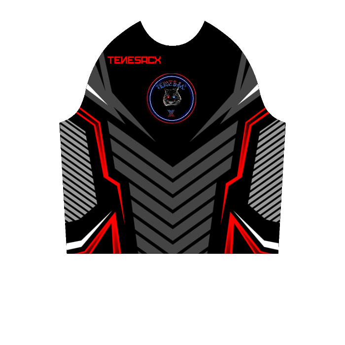 Ninjersey CUSTOM HOODIE "AVENTADOR" Custom esports jersey