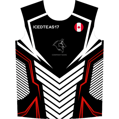 Ninjersey CUSTOM JERSEY "AVENTADOR" Custom esports jersey