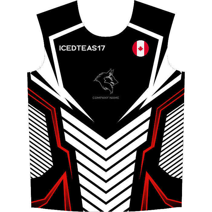 Ninjersey CUSTOM JERSEY "AVENTADOR" Custom esports jersey