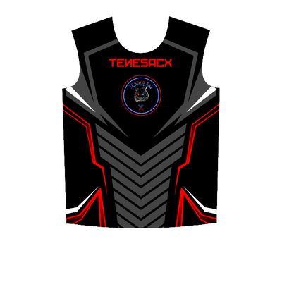 Ninjersey CUSTOM JERSEY "AVENTADOR" Custom esports jersey