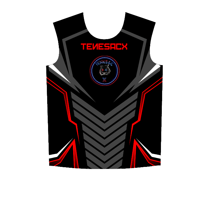 Ninjersey CUSTOM JERSEY "AVENTADOR" Custom esports jersey