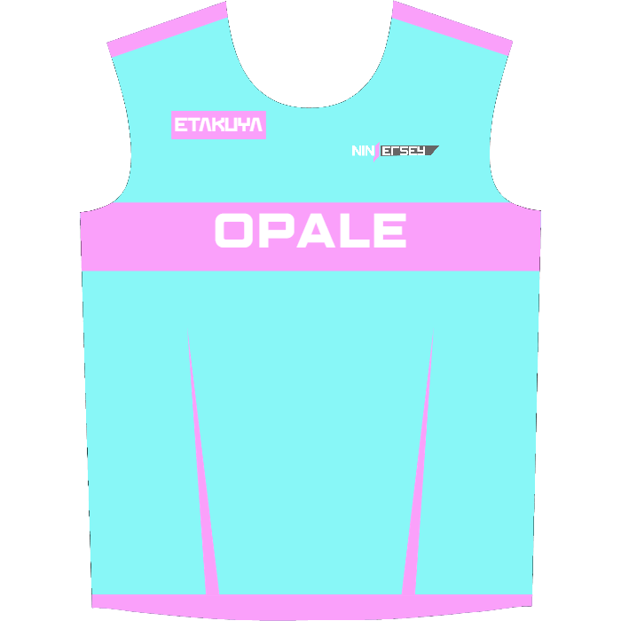 Ninjersey CUSTOM JERSEY "VARIANT" Custom esports jersey