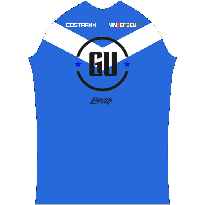 Ninjersey CUSTOM PRO JERSEY "ASSAULT" Custom esports jersey