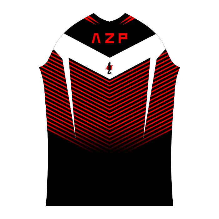 Ninjersey CUSTOM PRO JERSEY "ASSAULT" Custom esports jersey