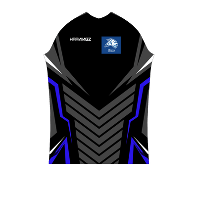 Ninjersey CUSTOM PRO JERSEY "AVENTADOR" Custom esports jersey