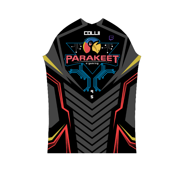 Ninjersey CUSTOM PRO JERSEY "AVENTADOR" Custom esports jersey