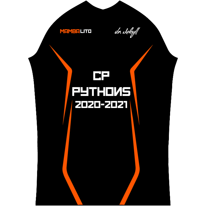 Ninjersey CUSTOM PRO JERSEY "BASE SPACE" Custom esports jersey