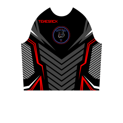 Ninjersey CUSTOM HOODIE "AVENTADOR" Custom esports jersey