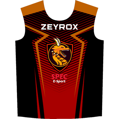 Ninjersey CUSTOM JERSEY "ASPHALT" Custom esports jersey