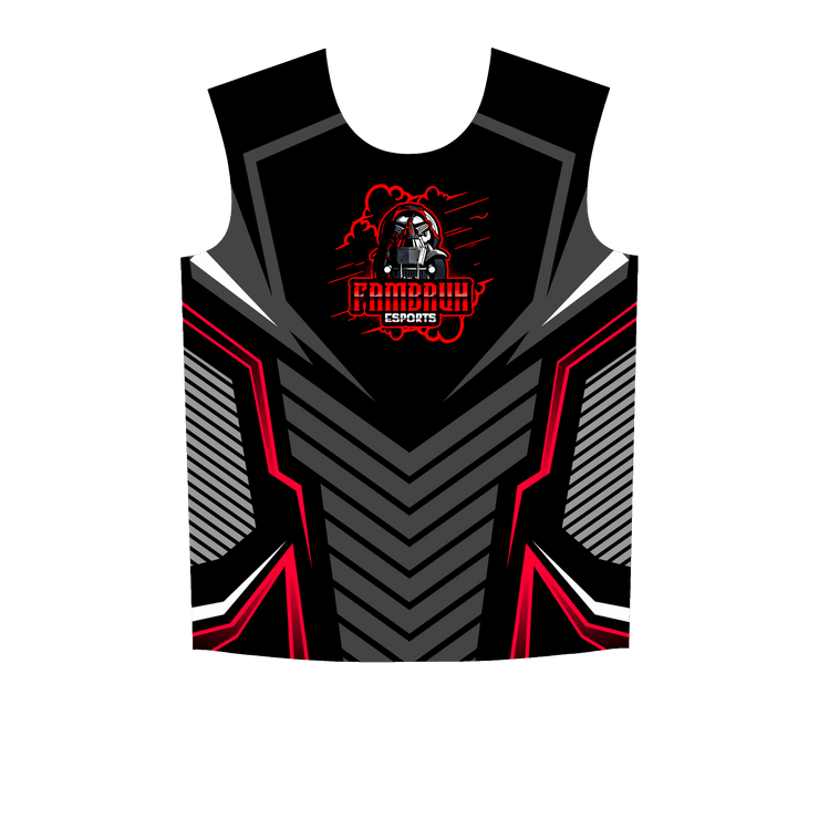 Ninjersey CUSTOM JERSEY "AVENTADOR" Custom esports jersey