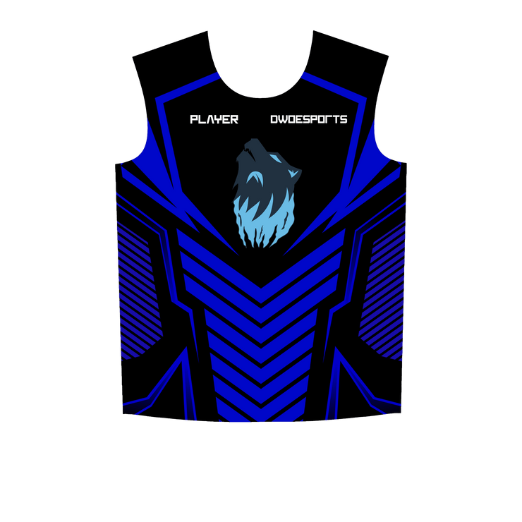 Ninjersey CUSTOM JERSEY "AVENTADOR" Custom esports jersey