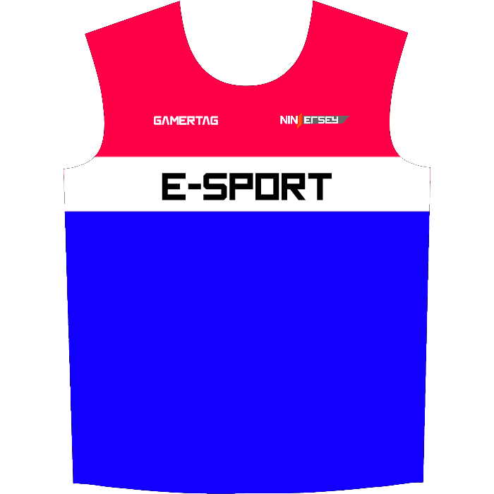 Ninjersey CUSTOM JERSEY "VARIANT" Custom esports jersey