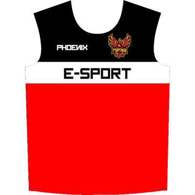 Ninjersey CUSTOM JERSEY "VARIANT" Custom esports jersey