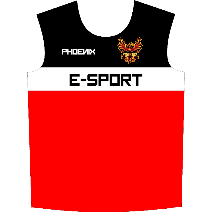 Ninjersey CUSTOM JERSEY "VARIANT" Custom esports jersey