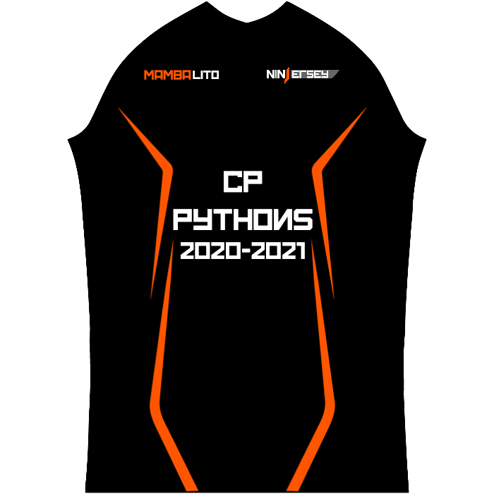 Ninjersey CUSTOM PRO JERSEY "BASE SPACE" Custom esports jersey