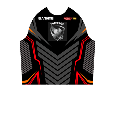 Ninjersey CUSTOM HOODIE "AVENTADOR" Custom esports jersey