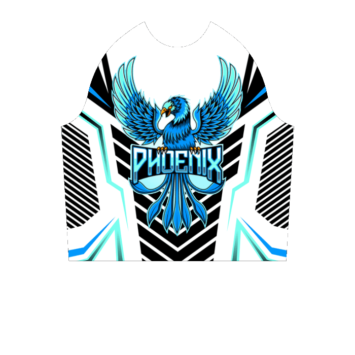 Ninjersey CUSTOM HOODIE "AVENTADOR" Custom esports jersey