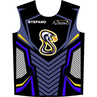 Ninjersey CUSTOM JERSEY "AVENTADOR" Custom esports jersey