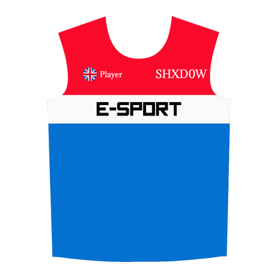 Ninjersey CUSTOM JERSEY "VARIANT" Custom esports jersey