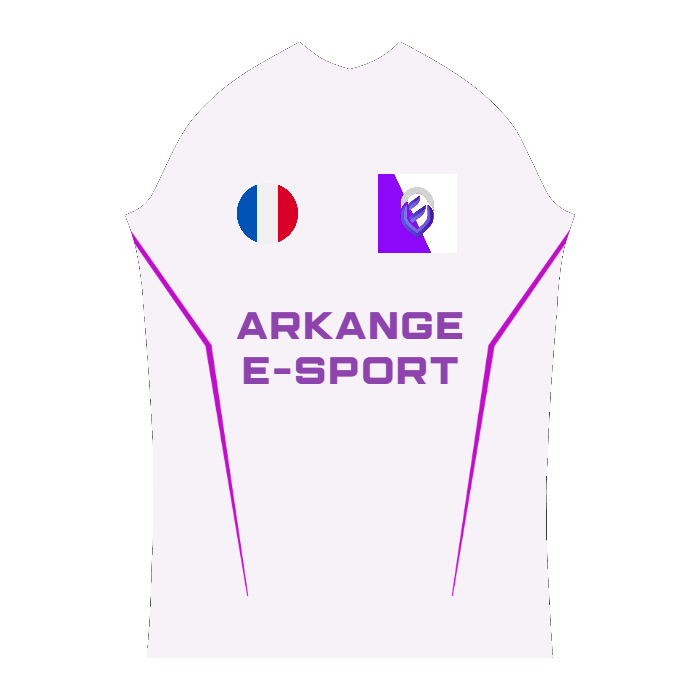 Ninjersey CUSTOM PRO JERSEY "PYTON" Custom esports jersey