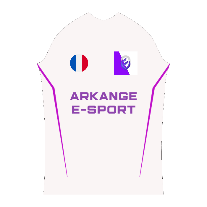 Ninjersey CUSTOM PRO JERSEY "PYTON" Custom esports jersey