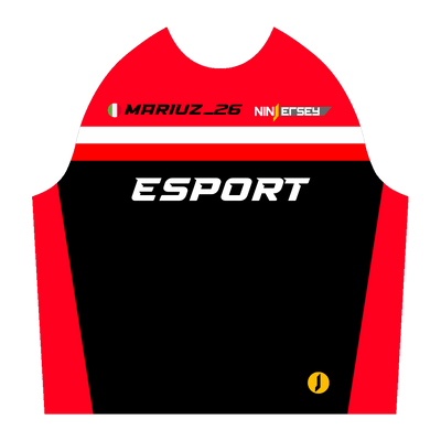 Ninjersey CUSTOM HOODIE "IMOLA GT" Custom esports jersey